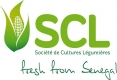 SCL – Société de Cultures Légumières